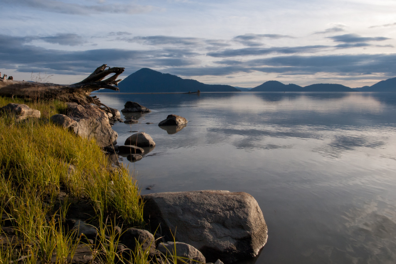 https://www.laketrailenvironmental.ca/wp-content/uploads/2021/11/AdobeStock_145902316-1.jpeg