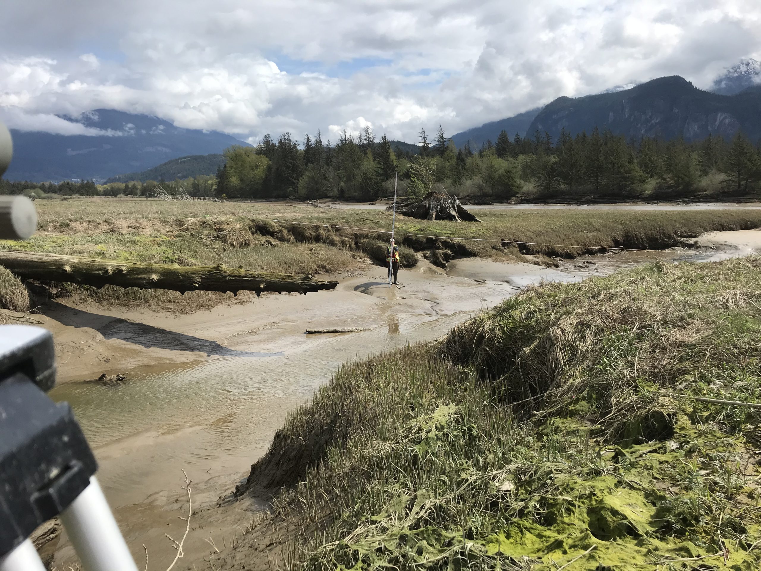 https://www.laketrailenvironmental.ca/wp-content/uploads/2021/12/IMG_6897-scaled.jpg